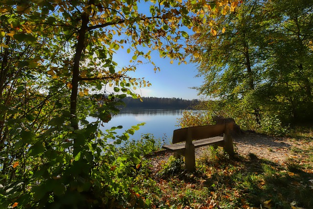 夏普的问题 夏普的问题
