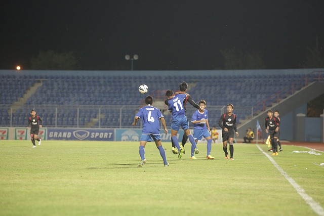 这为上海海 这为上海海