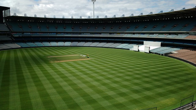 的大心脏 的大心脏