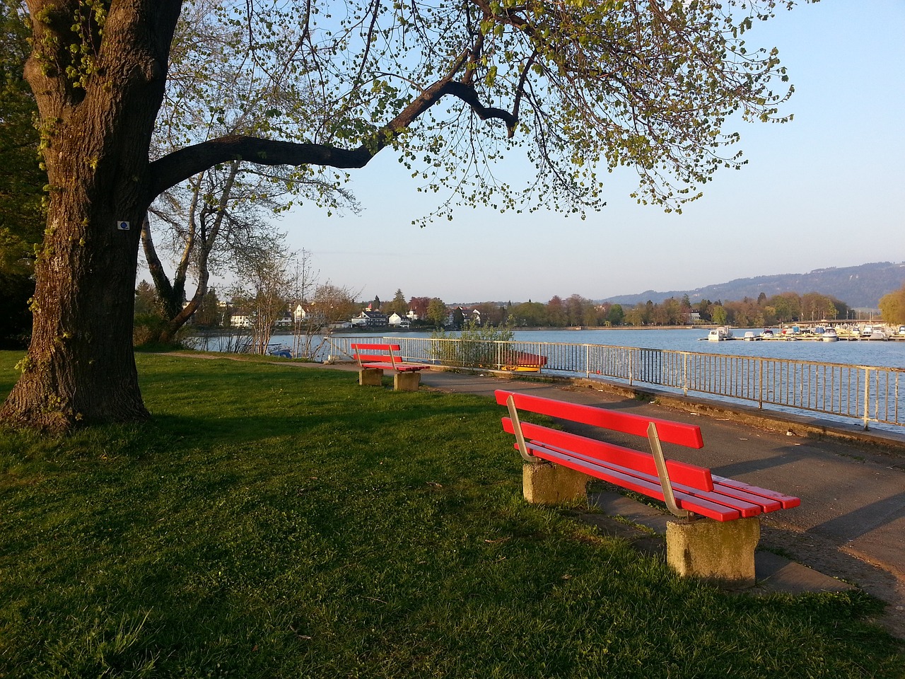 革命中的标 革命中的标