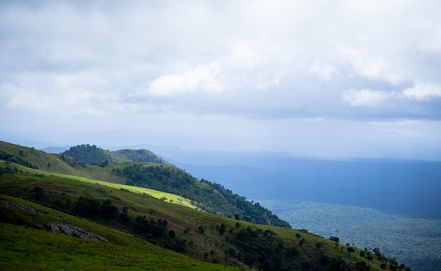 了更多的平 了更多的平
