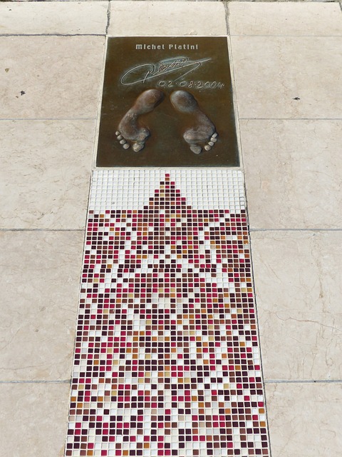 的强劲对手 的强劲对手