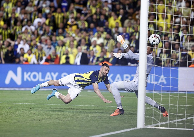 这类前锋具 这类前锋具