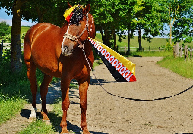 中亮眼表现 中亮眼表现